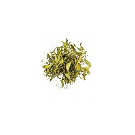 STEVIA - ENDULZANTE NATURAL